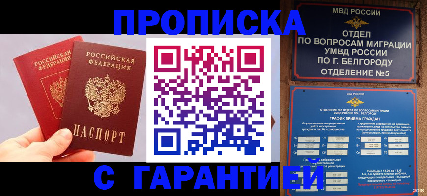 прописка 2025 в Волосово